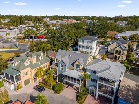 A home in MOUNT DORA