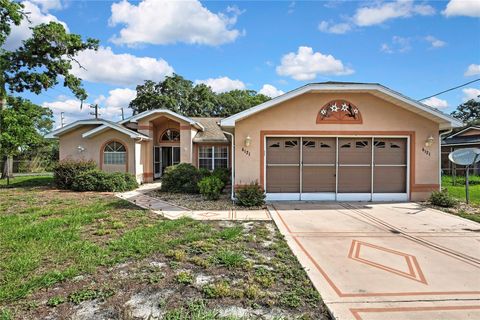 6121 PIEDMONT DRIVE SPRING HILL FL 34606