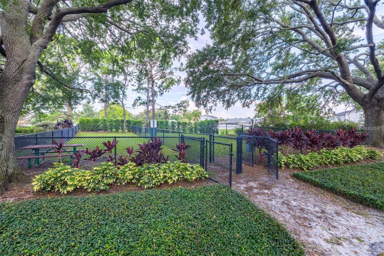 LANDINGS OF TAMPA A CONDO - Residential Lease