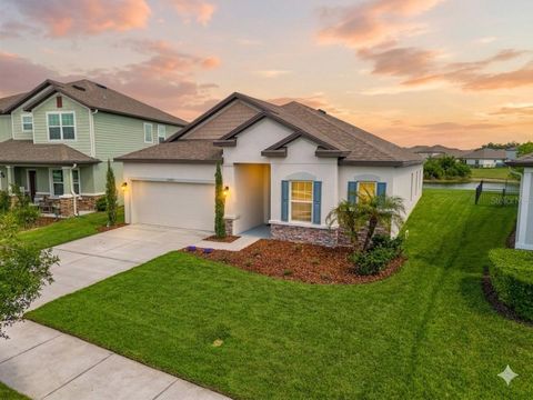 Photo of 31041 Jazz Leaf Place, San Antonio, FL 33576 (MLS # S5147136)