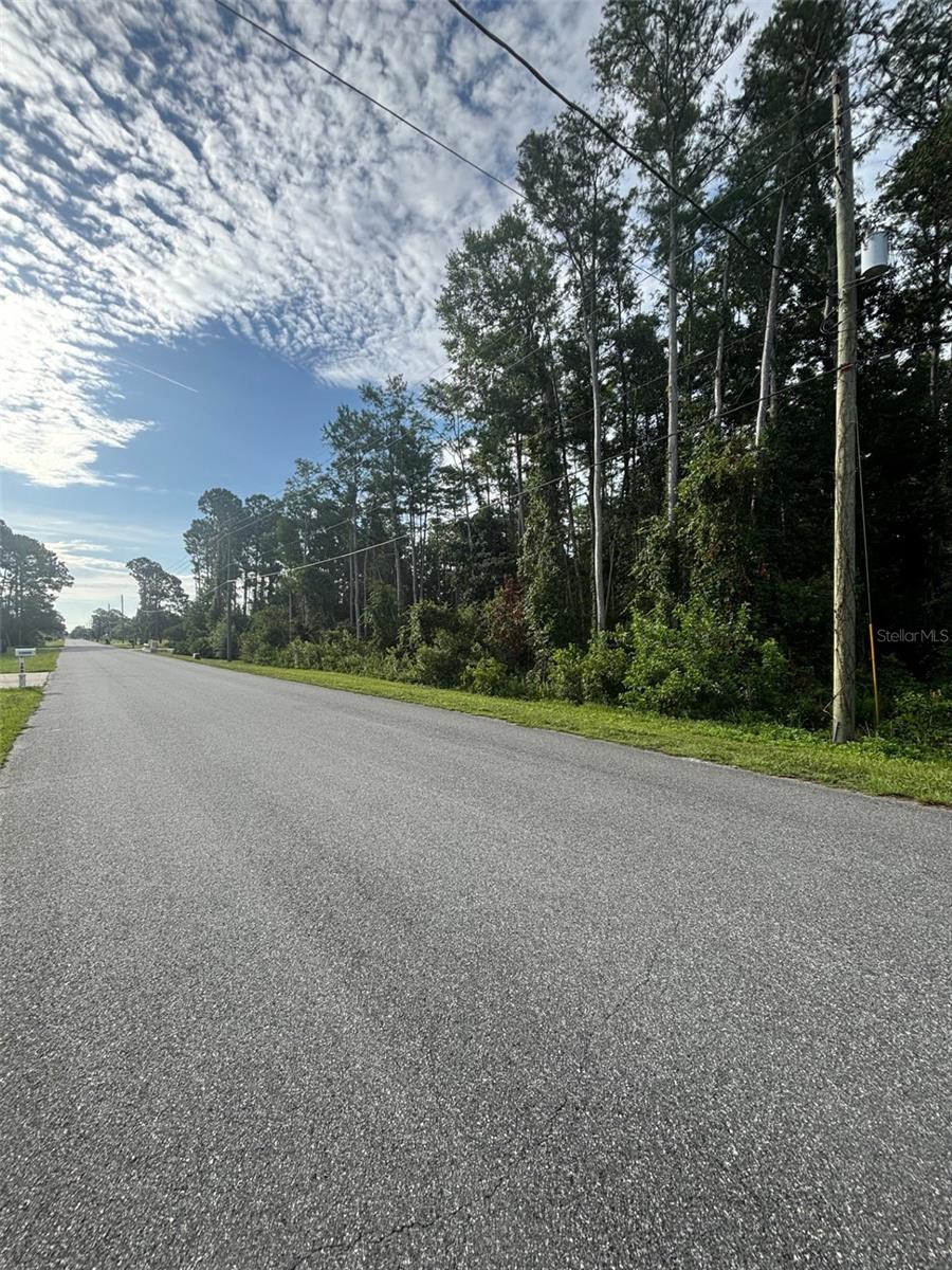 Under contract-accepting backup offers. ** Priced to Sell FAST ** Ready to Embrace the Wedgefield lifestyle? Your chance is here on Tranquil Majestic Street. Beautiful 1.03 Acre Homesite Surrounded by Gorgeous Estate Homes! Wedgefield is Golf and Equestrian Community like No Other! A true Hidden Gem in East Orlando also known as Cape Orlando Estates offering 18-Hole Golf Course. Large Playground in the Community Park, Multiple Ball Courts, Including Pickleball! Outdoor Exercise Equipment, Dog Park and Weekly and Seasonal Community Events to Enjoy! This Incredible Location of Wedgefield also is Home to the Hal Scott Regional Preserve and Park a 9,515-acre nature preserve. Hal Scott Preserves boasts miles of unspoiled sanctuary trails for hiking along the scenic shoreline of the Econlockhatchee River, with plenty of wildlife to view!! Trails are available for hiking, horseback riding and bicycling, and fishing is permitted. In Wedgefield the Proximity to 528 Allows for seamless commute to Lake Nona, Medical City or Downtown Orlando via 417, 408 or I-4. The Shores of Port Canaveral and the Beaches are just minutes away. If you are looking to create your Dream Home near World-Class Amenities or seeking a smart Investment Opportunity Come see this Special Homesite Today! Owner Finance Available!!