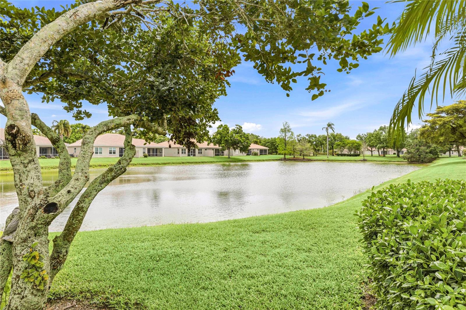 LAKERIDGE FALLS - Residential