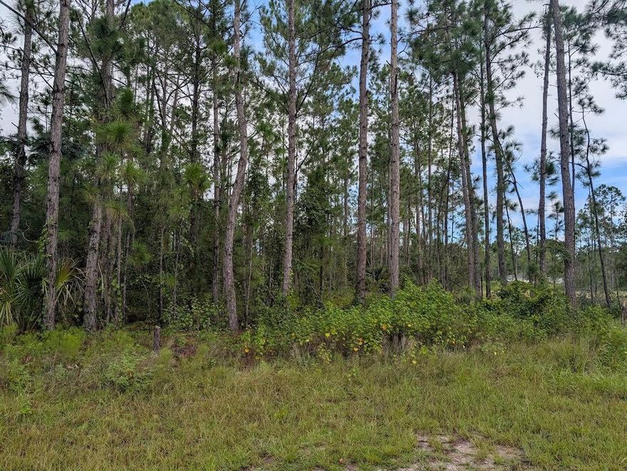 Come build your forever home on this one-half acre CANAL lot that is located in the lake community of Indian Lake Estates, a golfing, fishing and boating community in the center of Florida. You can be out on Lake Walk in Water fishing in just minutes! Indian Lake Estates is about 20 miles east of Lake Wales. The community surrounds the 7,500 acre lake locally known as Lake Walk In Water, nationally known for its fishing and considered to be one of the best bass fishing lakes in all Florida. The lake has a beach, boat ramp, boat marina and the longest freshwater Fishing pier in the State of Florida. The pavilion is located at the front of the pier and is complete with propane grills and covered picnic tables. The community amenities include an 18-hole golf course, basketball and tennis courts, 23, 000 sq.ft. clubhouse, cafe, post office, churches, library, fitness room and pro shop. If you love nature and the peace and quiet of the country you're in luck. Wildlife is plentiful! You will see deer, raccoon, turkey, turtles, cranes and various species of birds that call Indian Lake Estates their home. Orlando and Disney is only about an hour's drive north and Tampa, Busch Gardens, and the Gulf's pristine beaches only a little over an hour west. Historic Bok Tower, a National Landmark, is in nearby Lake Wales. The Westgate River Ranch Resort and Rodeo is just six miles away. An authentic Florida dude ranch and full-service resort offering guests the opportunity to experience "Old Florida." Encompassing 1,700 beautiful acres, Westgate River Ranch features horseback riding, wildlife airboat and swamp buggy rides, Saturday night championship rodeo, trap/skeet range, nature hikes, petting farm, marina, Adventure Park with zip line and rock climbing wall, Westgate Smokehouse Grill and River Ranch Saloon and much more. Cowboy-themed accommodations range from ranch-themed lodge guestrooms and deluxe lodge suites to spacious cottages, two-bedroom cabins, Glamping and Luxe Teepees. Come out and see how great life can be at Indian Lake Estates! Polk County's best kept secret!