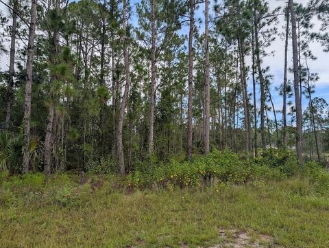 1122 POINCIANA DRIVE INDIAN LAKE ESTATES FL 33855