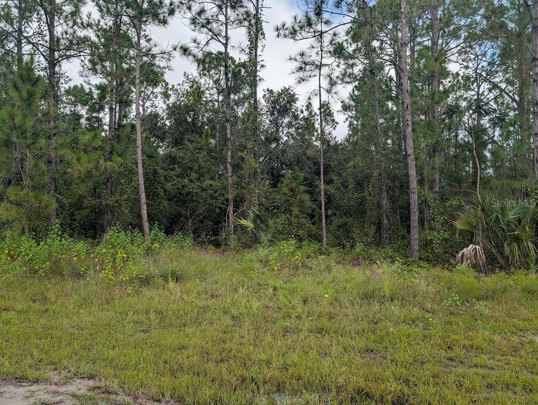 1122 POINCIANA DRIVE