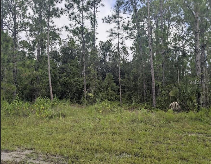 1122 POINCIANA DRIVE