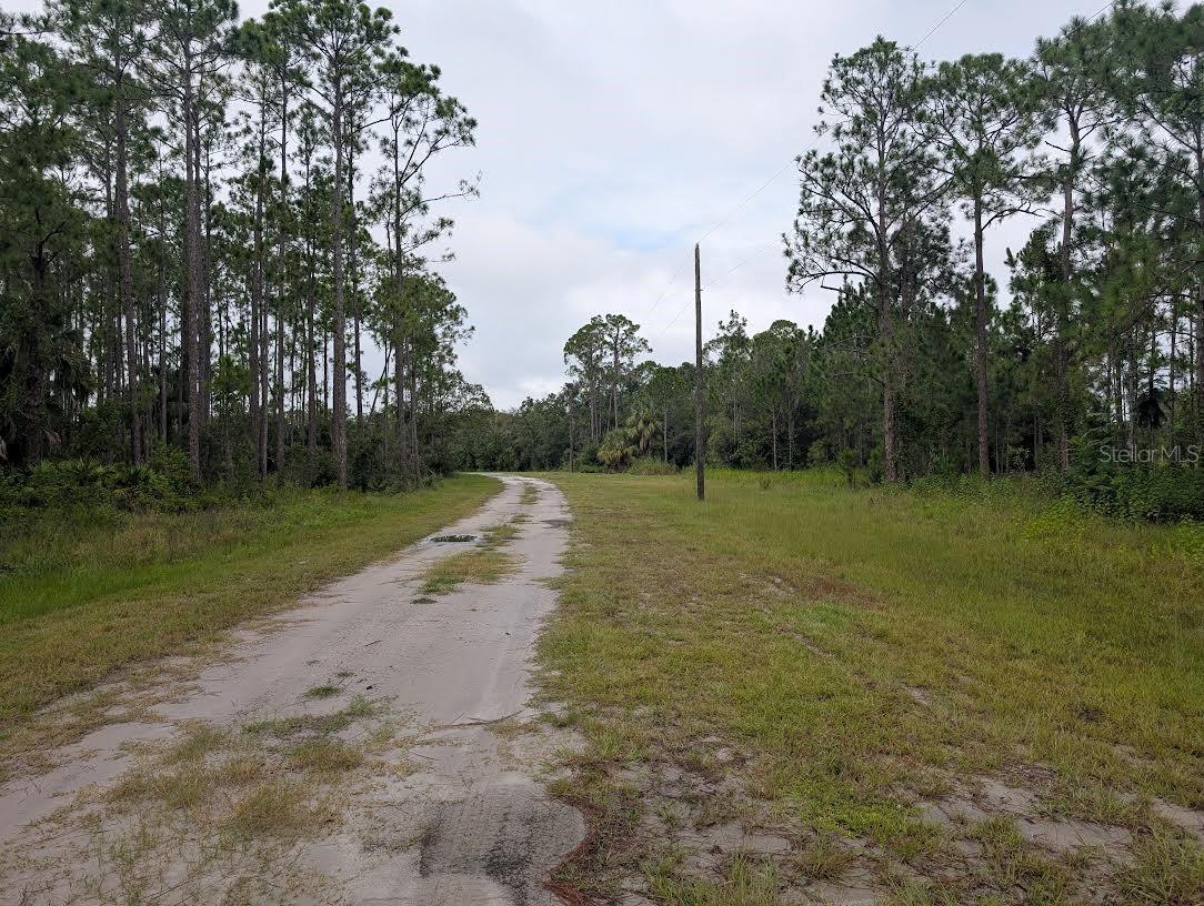 INDIAN LAKE ESTATES - Land