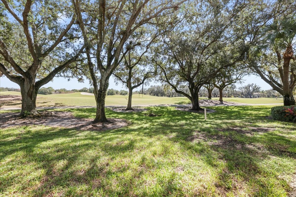 GOLFVIEW AT SUMMERWIND - Residential