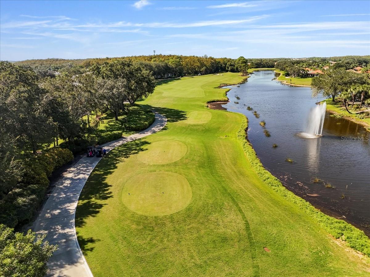 GOLFVIEW AT SUMMERWIND - Residential