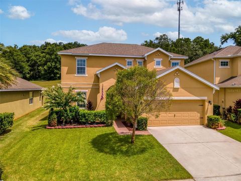 A home in MOUNT DORA