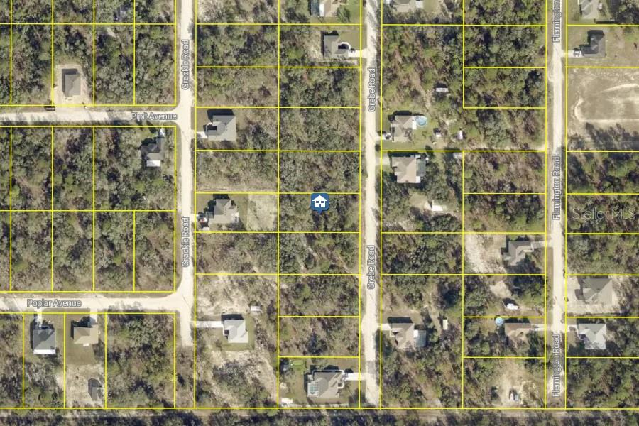 Photo of 16 Grebe Road, Weeki Wachee, FL 34614 (MLS # W7889515)