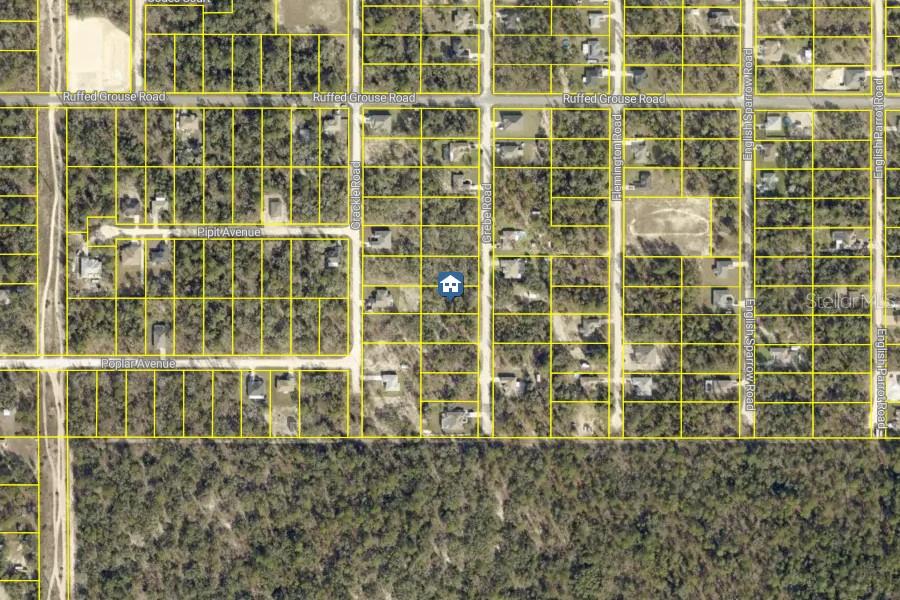 Photo of 16 Grebe Road, Weeki Wachee, FL 34614 (MLS # W7889515)