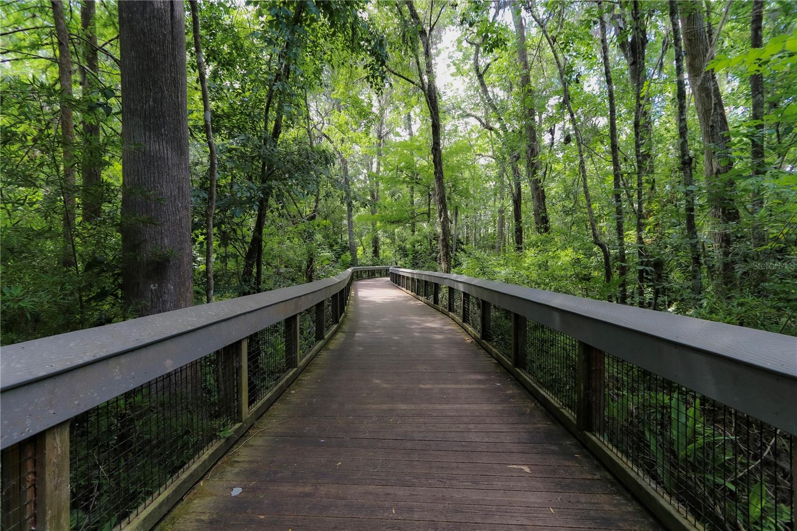 MAGNOLIA PARK - Residential