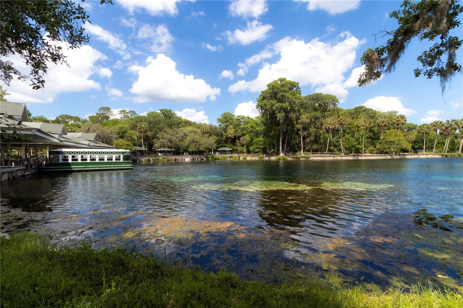 MAGNOLIA PARK - Residential