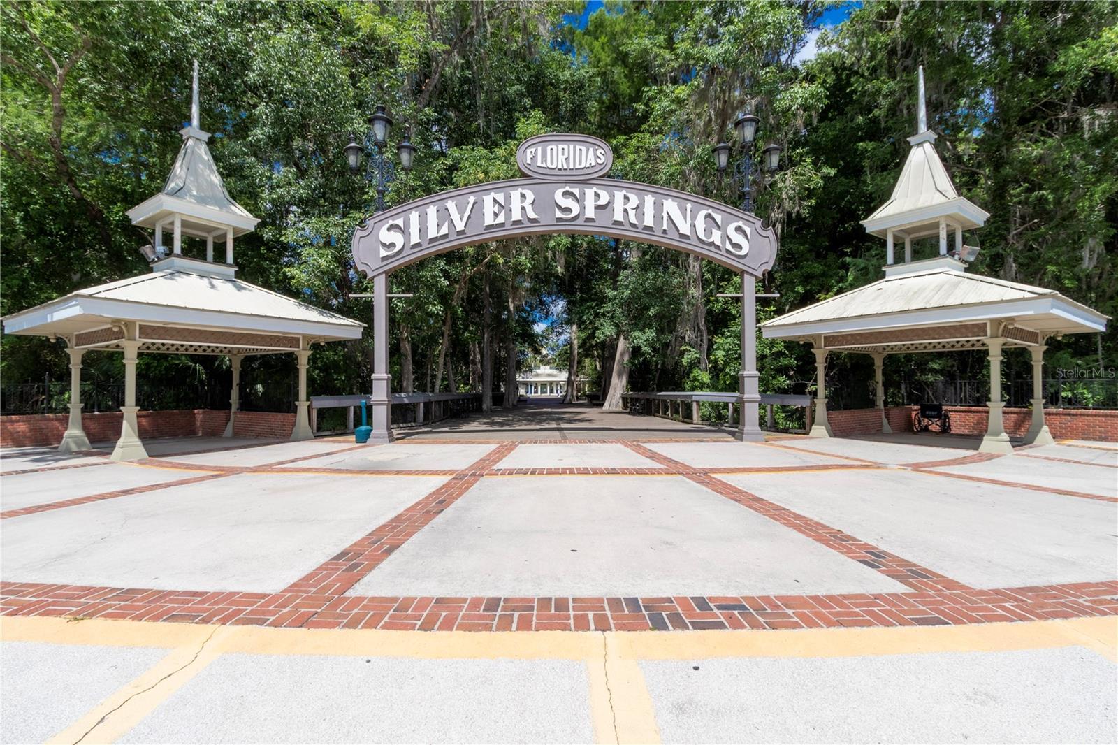 MAGNOLIA PARK - Residential