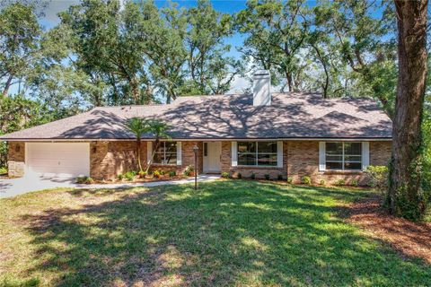 A home in APOPKA