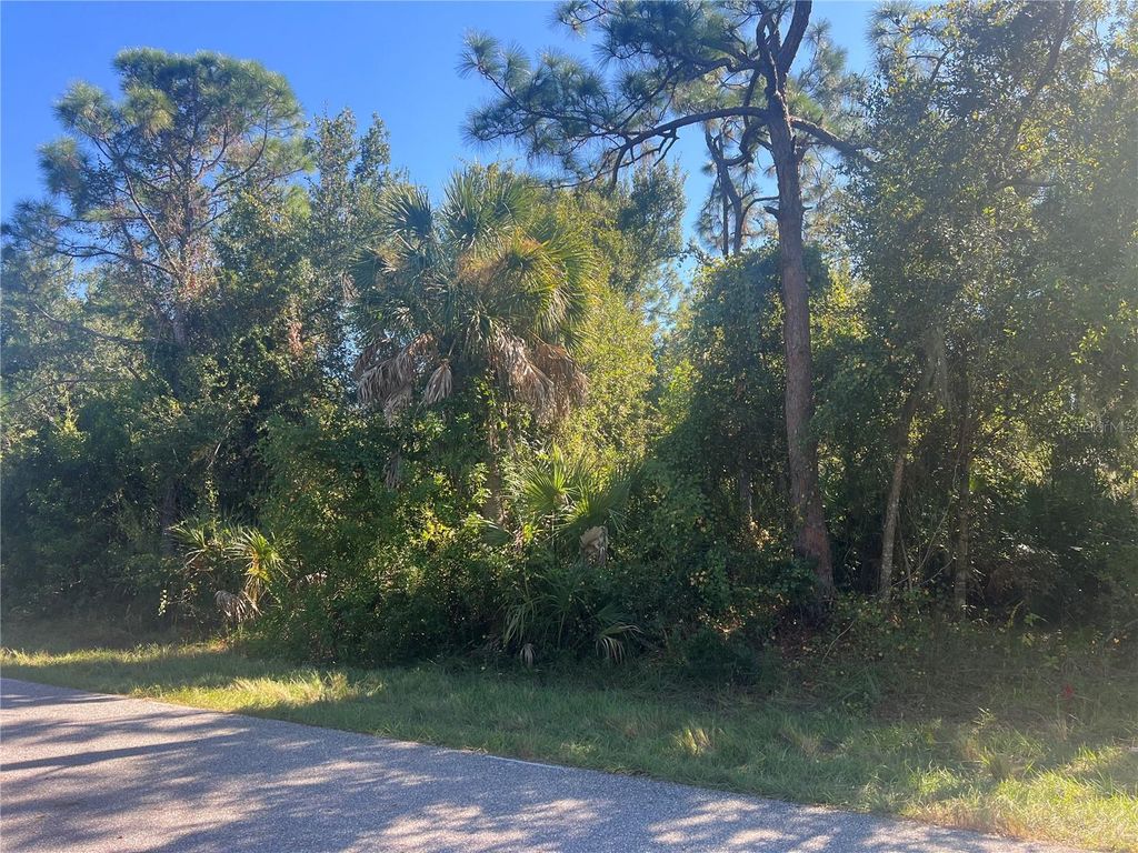 Photo of 831 Thornton Avenue NW, Port Charlotte, FL 33948 (MLS # TB8449513)