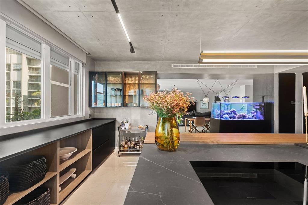 CARRION COURT PLAZA - Residential