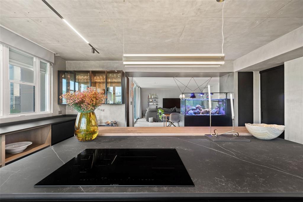 CARRION COURT PLAZA - Residential