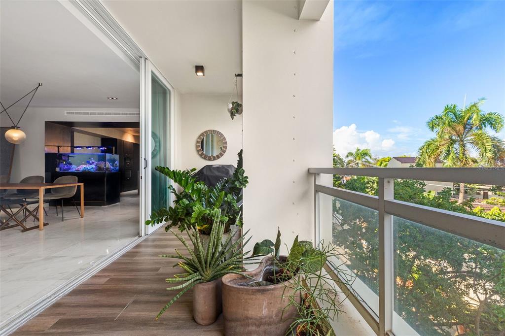 CARRION COURT PLAZA - Residential