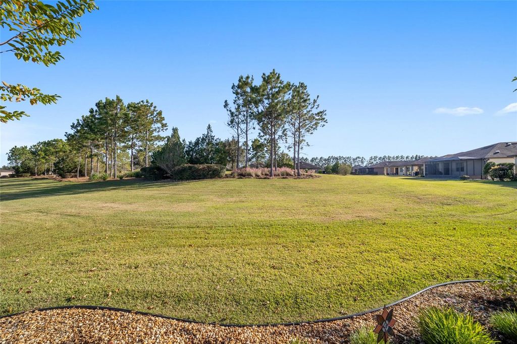 Photo of 10106 SW 77th Loop, Ocala, FL 34481 (MLS # OM712742)