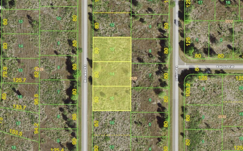 Photo of 238 Morales Street, Port Charlotte, FL 33953 (MLS # N6132300)