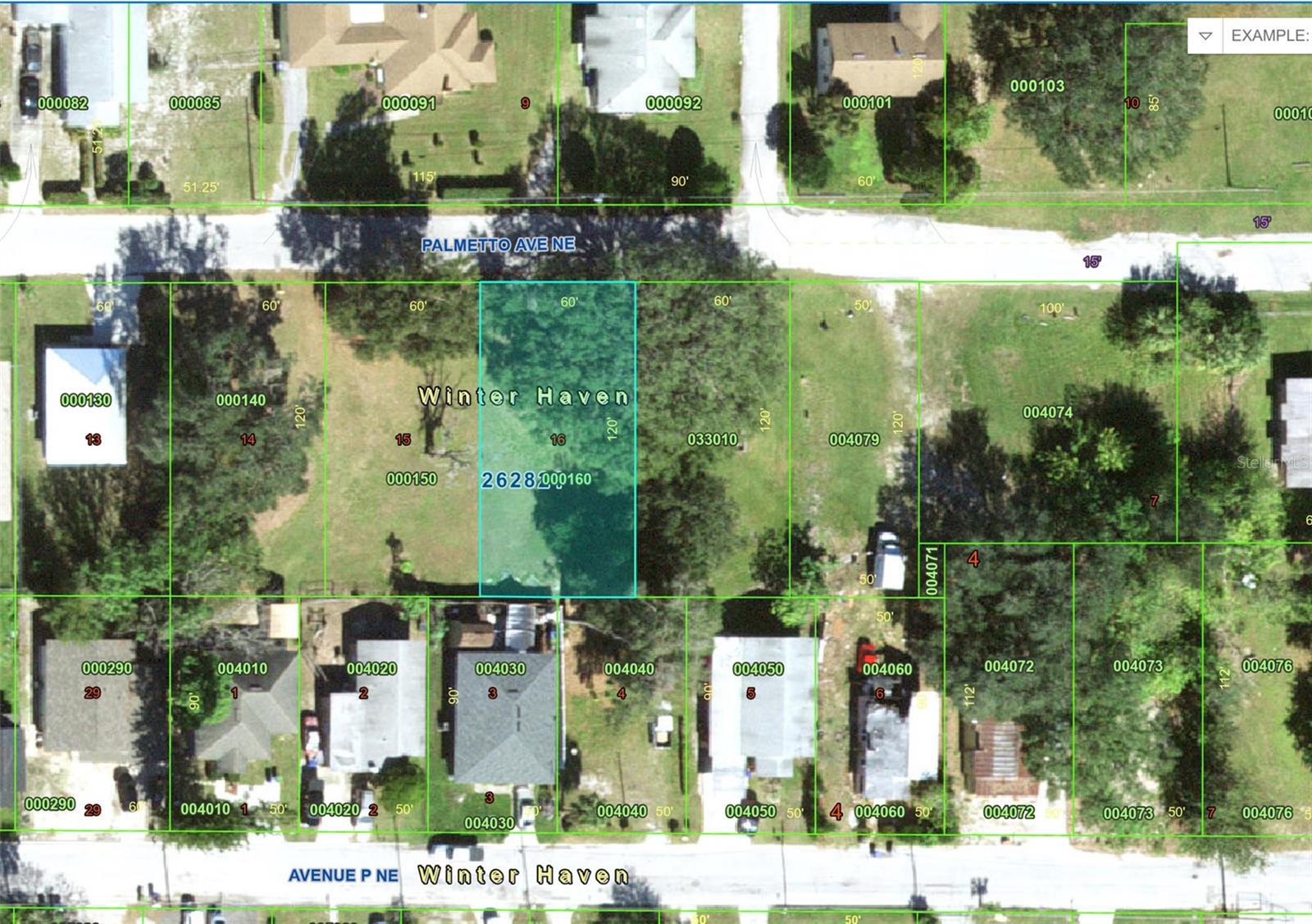 PALMETTO AVENUE NE