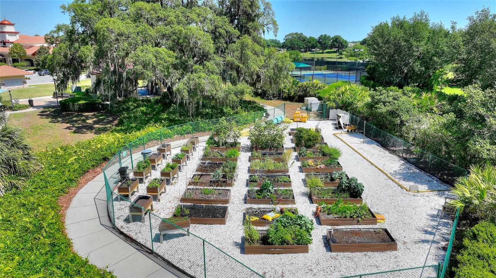 DEL WEBB ORLANDO PH 1 - Residential