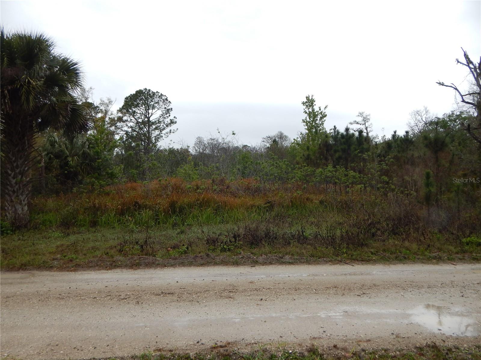 ***Vacant Land for Sale – 5.04 Acres in the serene Happy Trails Community in Kissimmee, FL***
If you’ve ever envisioned building your custom home in a peaceful, natural setting, this 5.04 acre parcel in the coveted Happy Trails community is exactly what you’ve been waiting for. Offering both space and tranquility, this rare opportunity provides ample room for your dream home, set against a backdrop of Florida’s stunning rural landscape.
Nestled within the charming Happy Trails community, this land is zoned OAE5, providing flexibility and a wide range of possibilities for development. With a minimum lot size of 5 acres, you'll enjoy privacy and a quiet environment, far from the hustle and bustle, yet just minutes away from essential amenities.
Located in Kissimmee, FL, this spacious parcel is a gem in an area where 5+ acre lots are becoming increasingly rare. The tranquil setting makes it perfect for building a private retreat, while being conveniently close to local hubs like Champions Gate for all your shopping, dining, and entertainment needs.
For commuters and adventure seekers alike, the property offers easy access to Interstate 4 (I-4), the main highway connecting Orlando and Tampa. Even better, the iconic Walt Disney World and other Orlando attractions are just minutes away, offering world-class entertainment and dining options for you, your family, and your guests.
The flexibility to choose your own builder means you have the freedom to create a home tailored to your vision and lifestyle. Whether it’s a cozy escape or a spacious family residence, this lot provides the perfect foundation for your dream home.
Picture family gatherings, serene outdoor spaces, and the beauty of nature, all while enjoying the proximity to some of Florida’s most sought-after destinations. Don’t miss out on this incredible opportunity to own a piece of paradise in a community that will only grow in value over time.
Contact us today to make this dream property yours!