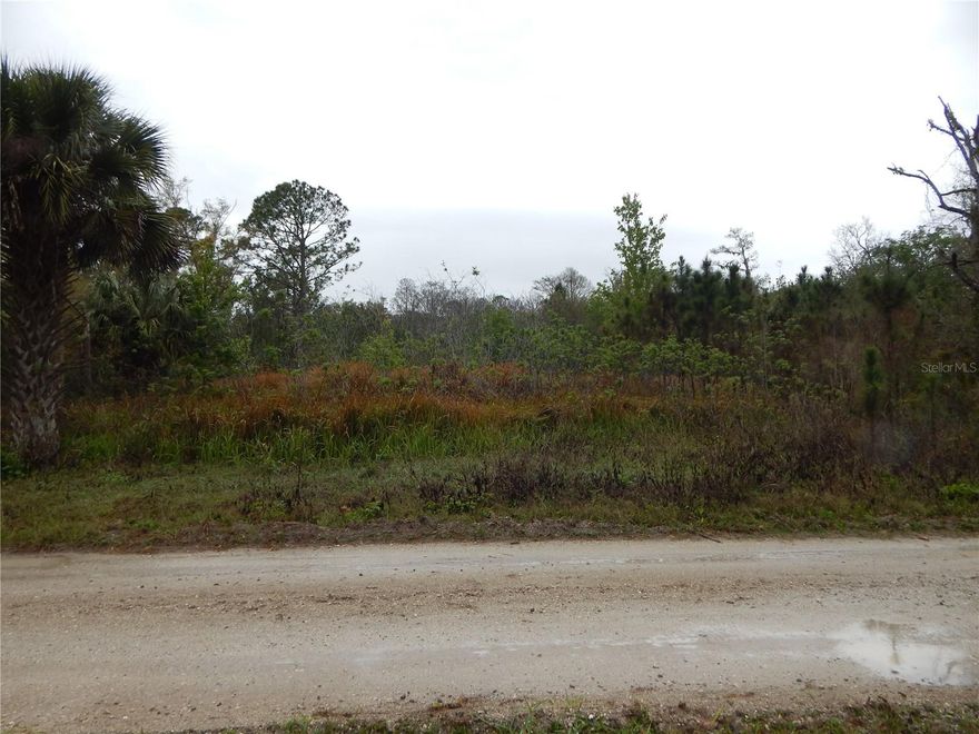 ***Vacant Land for Sale – 5.04 Acres in the serene Happy Trails Community in Kissimmee, FL***
If you’ve ever envisioned building your custom home in a peaceful, natural setting, this 5.04 acre parcel in the coveted Happy Trails community is exactly what you’ve been waiting for. Offering both space and tranquility, this rare opportunity provides ample room for your dream home, set against a backdrop of Florida’s stunning rural landscape.
Nestled within the charming Happy Trails community, this land is zoned OAE5, providing flexibility and a wide range of possibilities for development. With a minimum lot size of 5 acres, you'll enjoy privacy and a quiet environment, far from the hustle and bustle, yet just minutes away from essential amenities.
Located in Kissimmee, FL, this spacious parcel is a gem in an area where 5+ acre lots are becoming increasingly rare. The tranquil setting makes it perfect for building a private retreat, while being conveniently close to local hubs like Champions Gate for all your shopping, dining, and entertainment needs.
For commuters and adventure seekers alike, the property offers easy access to Interstate 4 (I-4), the main highway connecting Orlando and Tampa. Even better, the iconic Walt Disney World and other Orlando attractions are just minutes away, offering world-class entertainment and dining options for you, your family, and your guests.
The flexibility to choose your own builder means you have the freedom to create a home tailored to your vision and lifestyle. Whether it’s a cozy escape or a spacious family residence, this lot provides the perfect foundation for your dream home.
Picture family gatherings, serene outdoor spaces, and the beauty of nature, all while enjoying the proximity to some of Florida’s most sought-after destinations. Don’t miss out on this incredible opportunity to own a piece of paradise in a community that will only grow in value over time.
Contact us today to make this dream property yours!