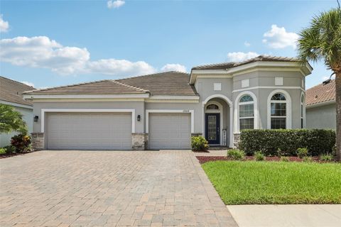 Photo of 12004 Cinnamon Fern Drive, Riverview, FL 33579 (MLS # TB8398597)