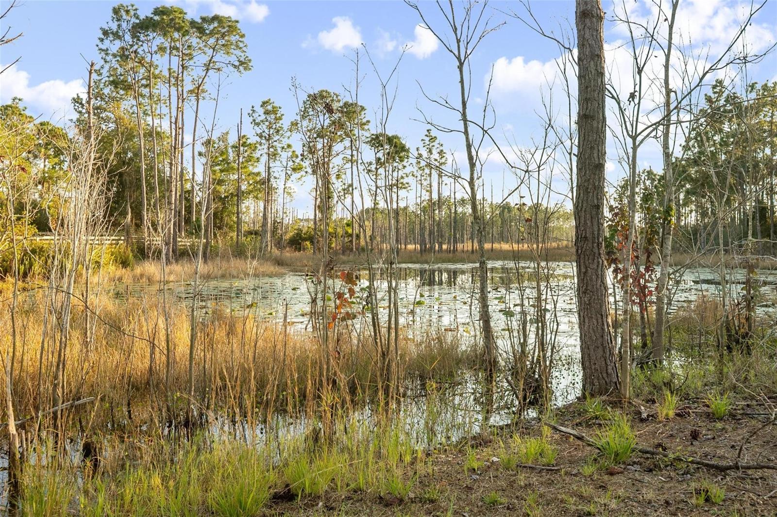 DELTONA LAKES UNIT 59 - Residential