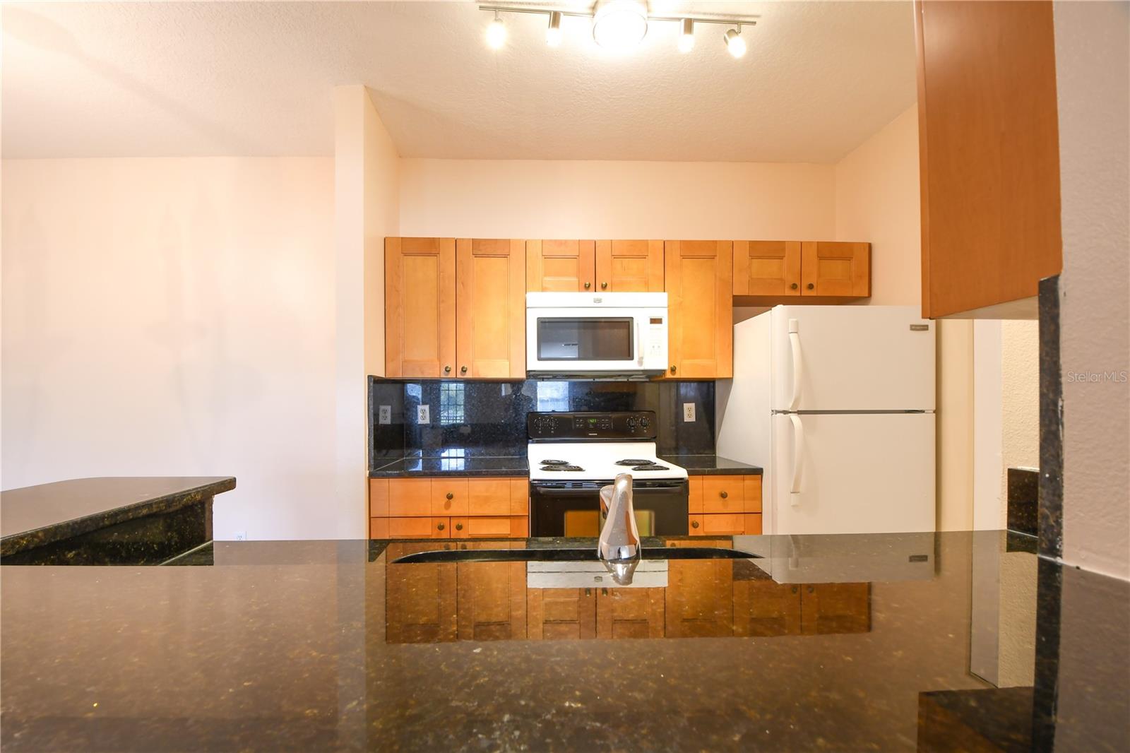 CAPRI/HUNTERS CRK CONDO - Residential Lease