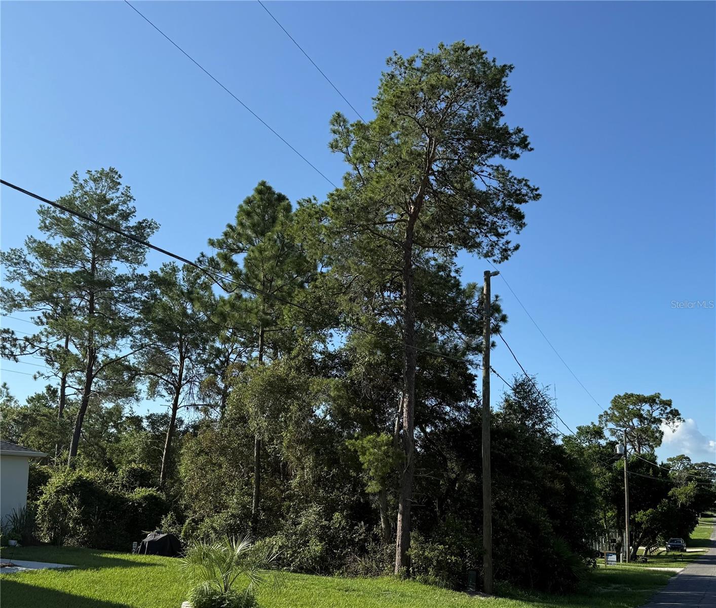 HICKORY AVENUE