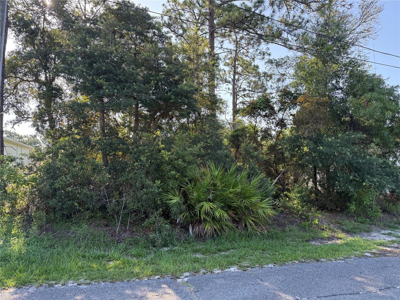 HICKORY AVENUE