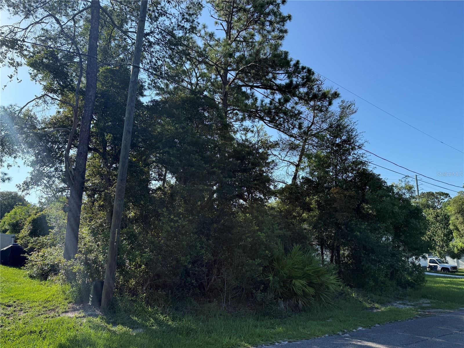 HICKORY AVENUE