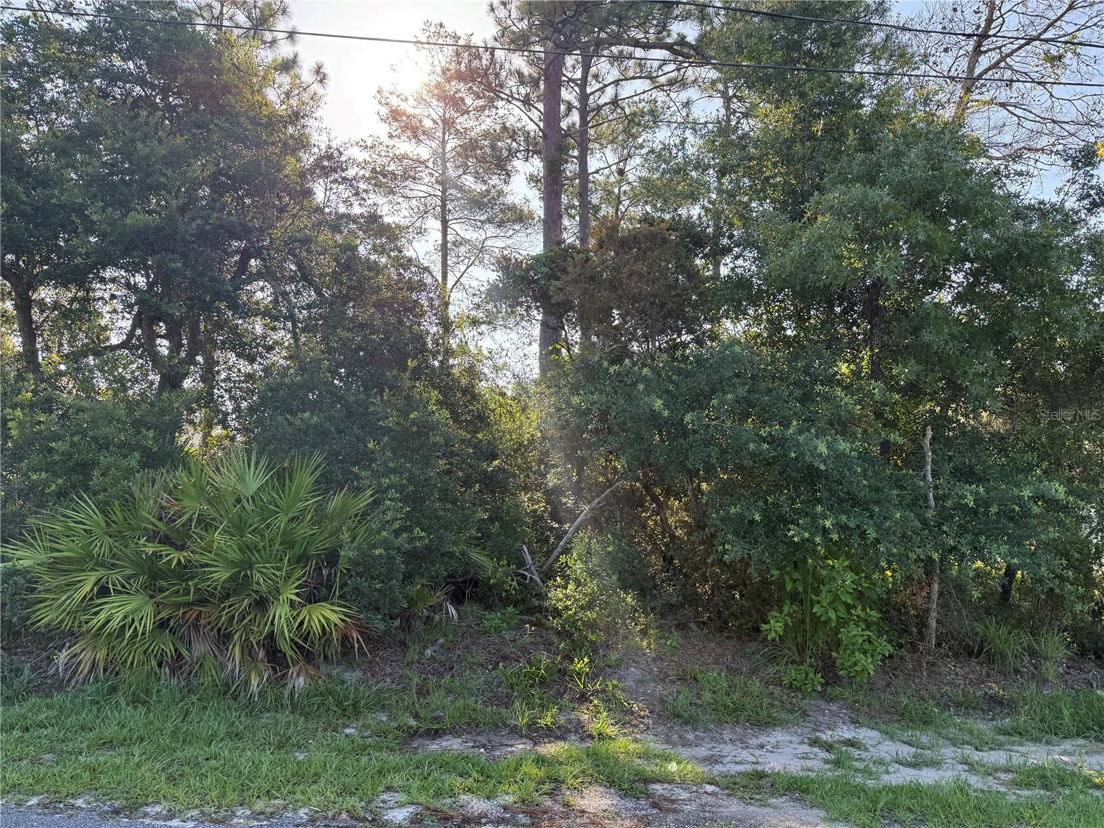 HICKORY AVENUE