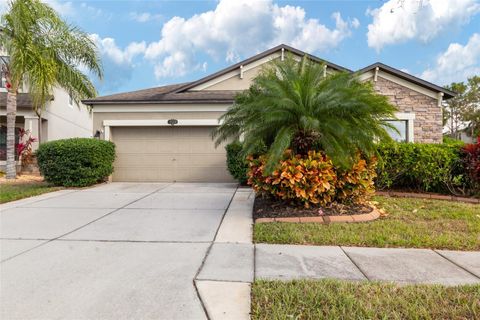 11528 PALMETTO PINE STREET RIVERVIEW FL 33569