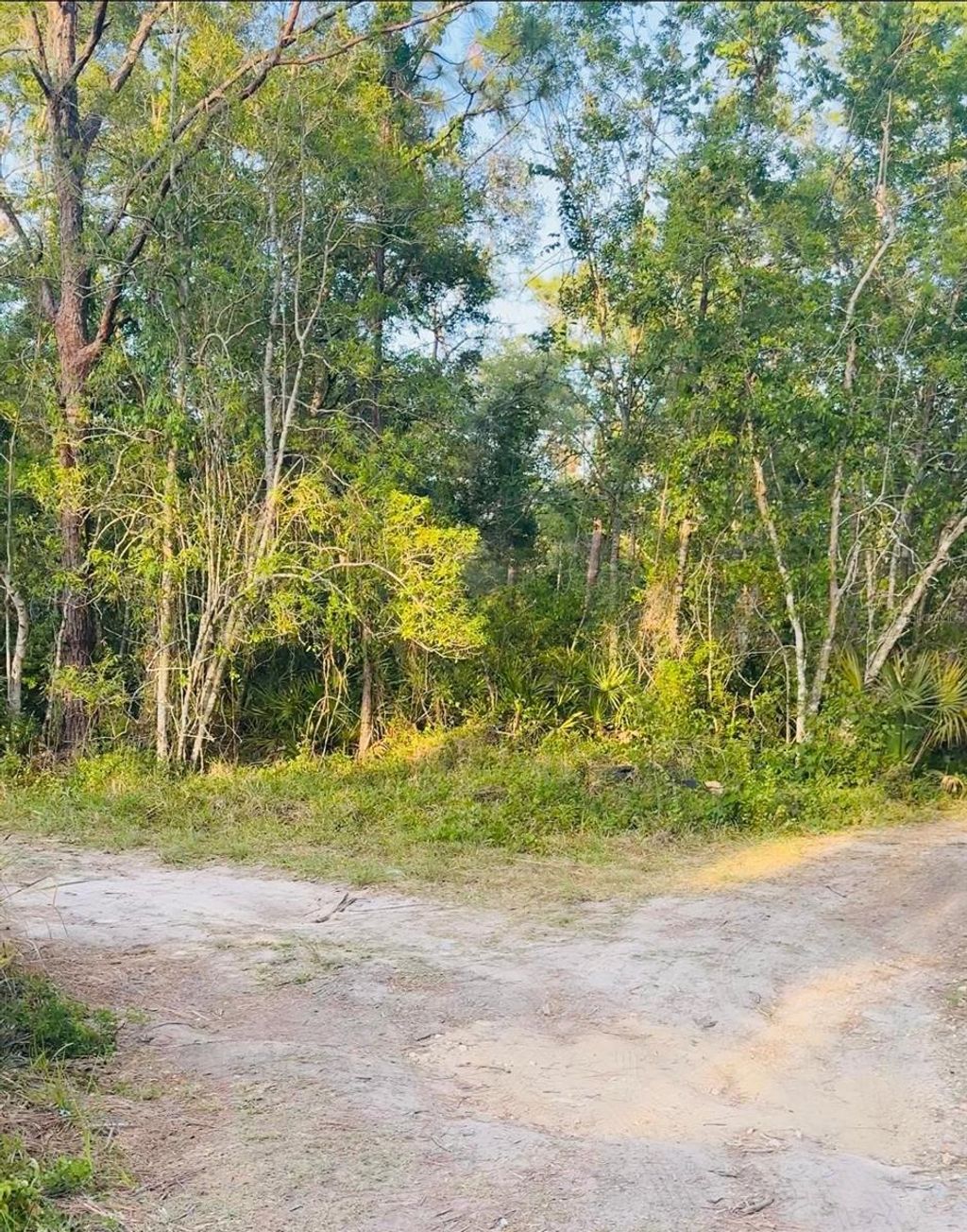 Photo of Webb Street, New Port Richey, FL 34654 (MLS # A4652525)