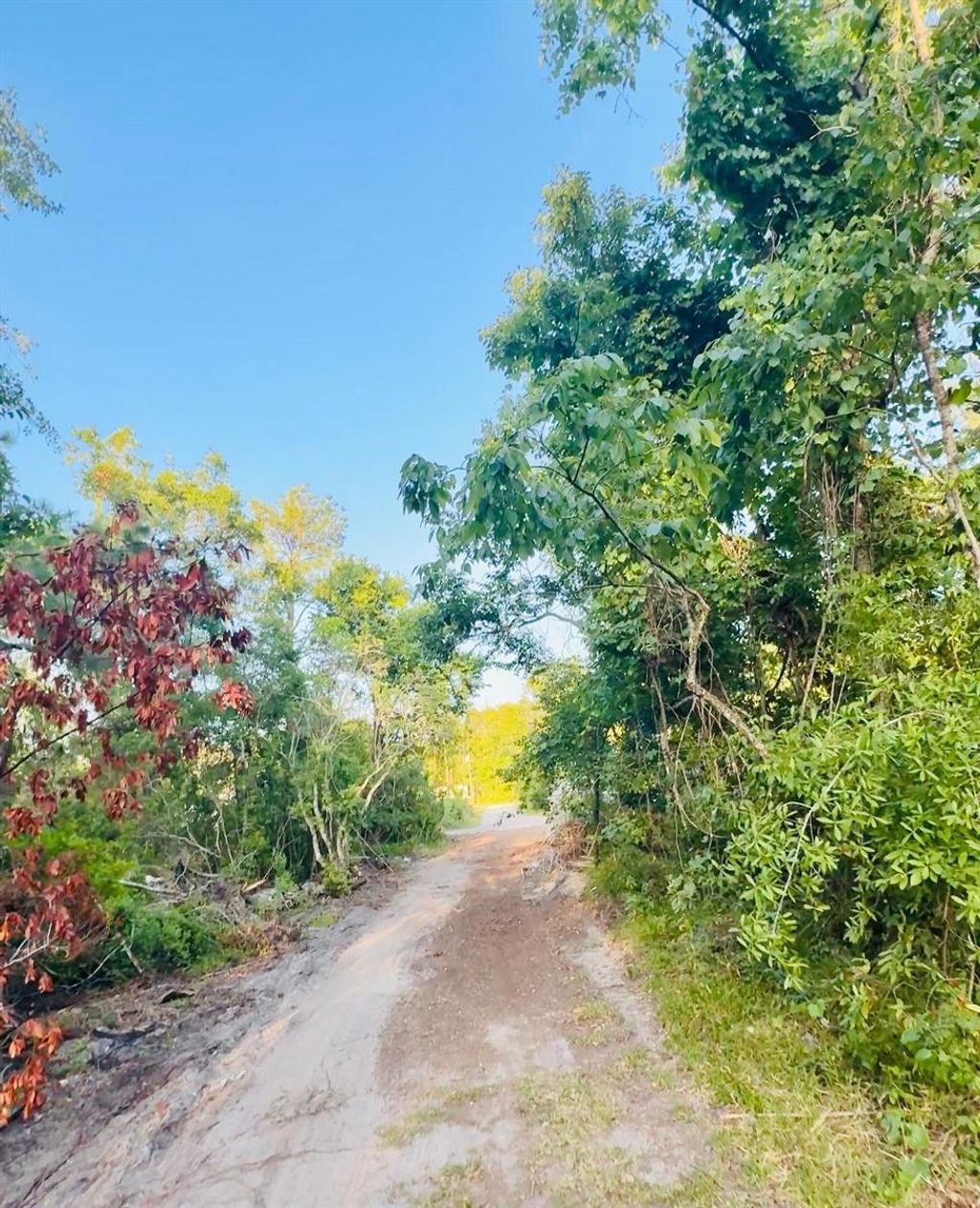 Photo of Webb Street, New Port Richey, FL 34654 (MLS # A4652525)