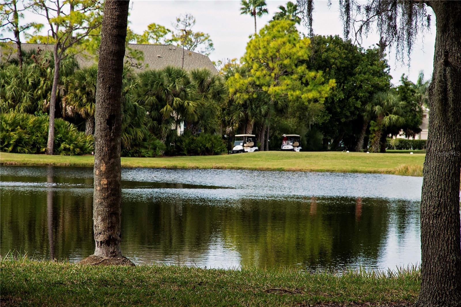 STONEYBROOK GOLF & COUNTRY CLUB - Residential