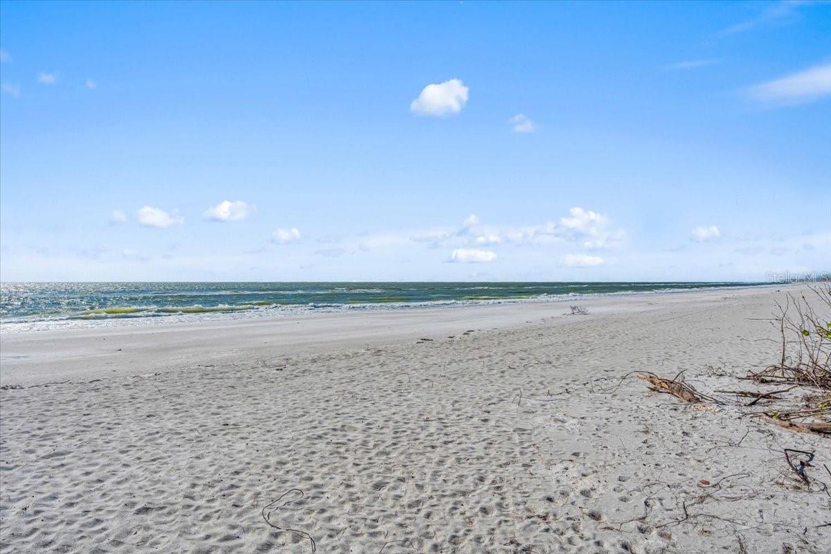 SALTY ACRES - Residential Lease