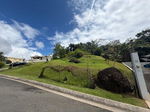 4.4 CARR 787 CIDRA  00739