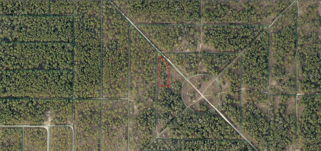 Photo of 2004 SW 157th Court, Ocala, FL 34481 (MLS # A4669201)