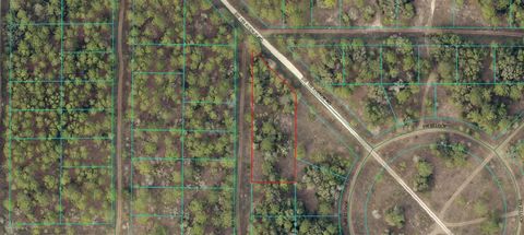 2004-170-005 SW 157TH COURT OCALA FL 34481