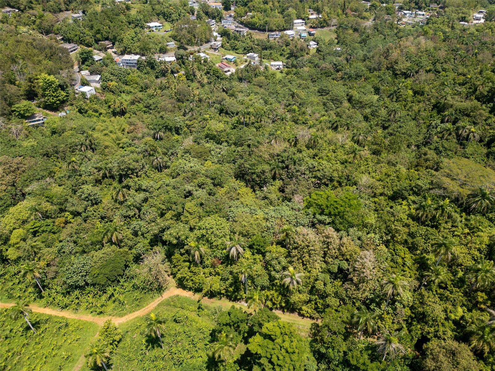 Enjoy the tranquility of the countryside on this excellent 8.13 cuerdas (7.98 acres) lot located in the Galateo neighborhood of Toa Alta, PR. Located just steps from Highway 165 and only 4.1 miles from the exit Expressway # 22, it provides privacy yet also quick access to main roads.