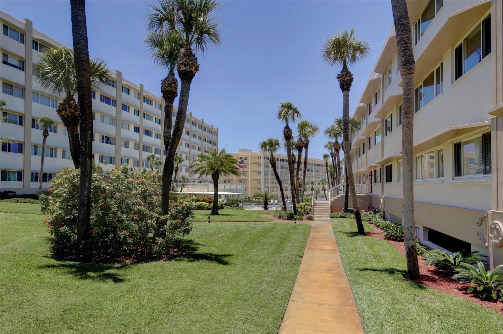 100 BLUFF VIEW DRIVE 309B