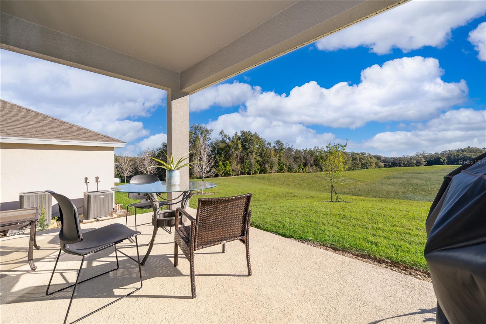 MINNEOLA HILLS - Residential