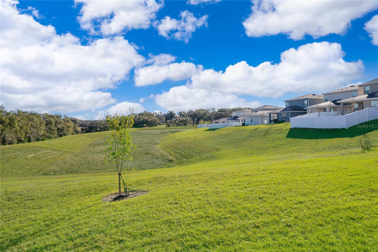 MINNEOLA HILLS - Residential