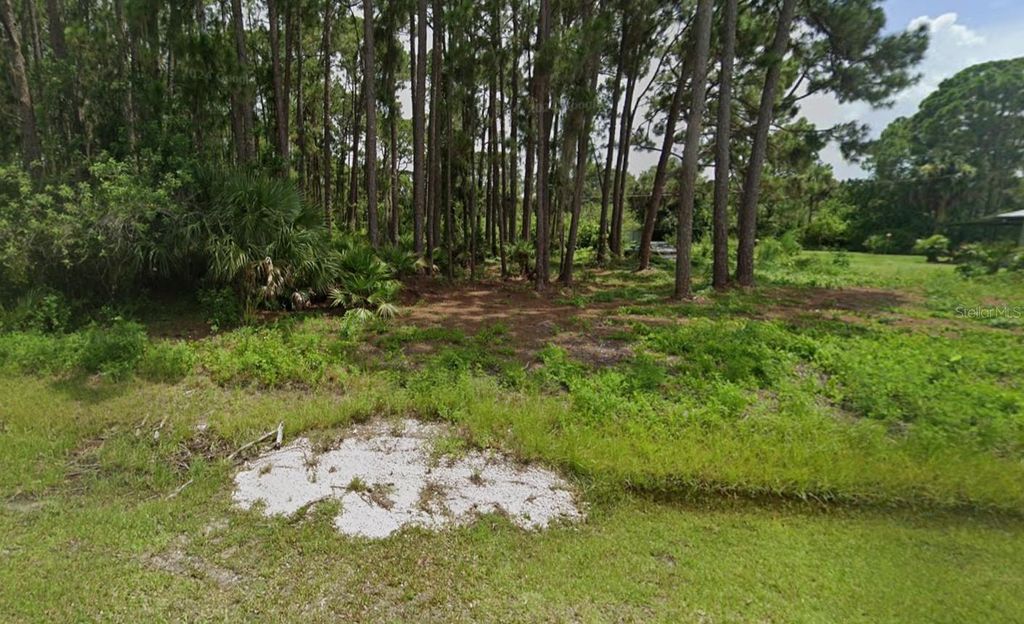 Photo of 12203 Chamberlain Boulevard, Port Charlotte, FL 33953 (MLS # C7518391)